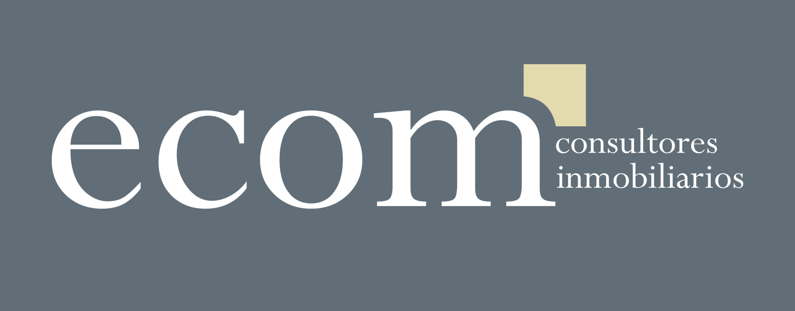 Ecom Consultores Ecom Consultores
